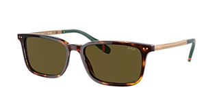 Polo Ralph Lauren PH4236 S (50 - 20) with Brown lenses and  display picture 2
