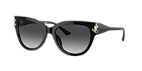 Jimmy Choo JC5018U M (54 - 18) with Grey lenses and Black