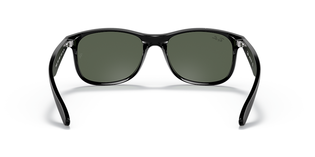 Ray-Ban RB4202 Andy