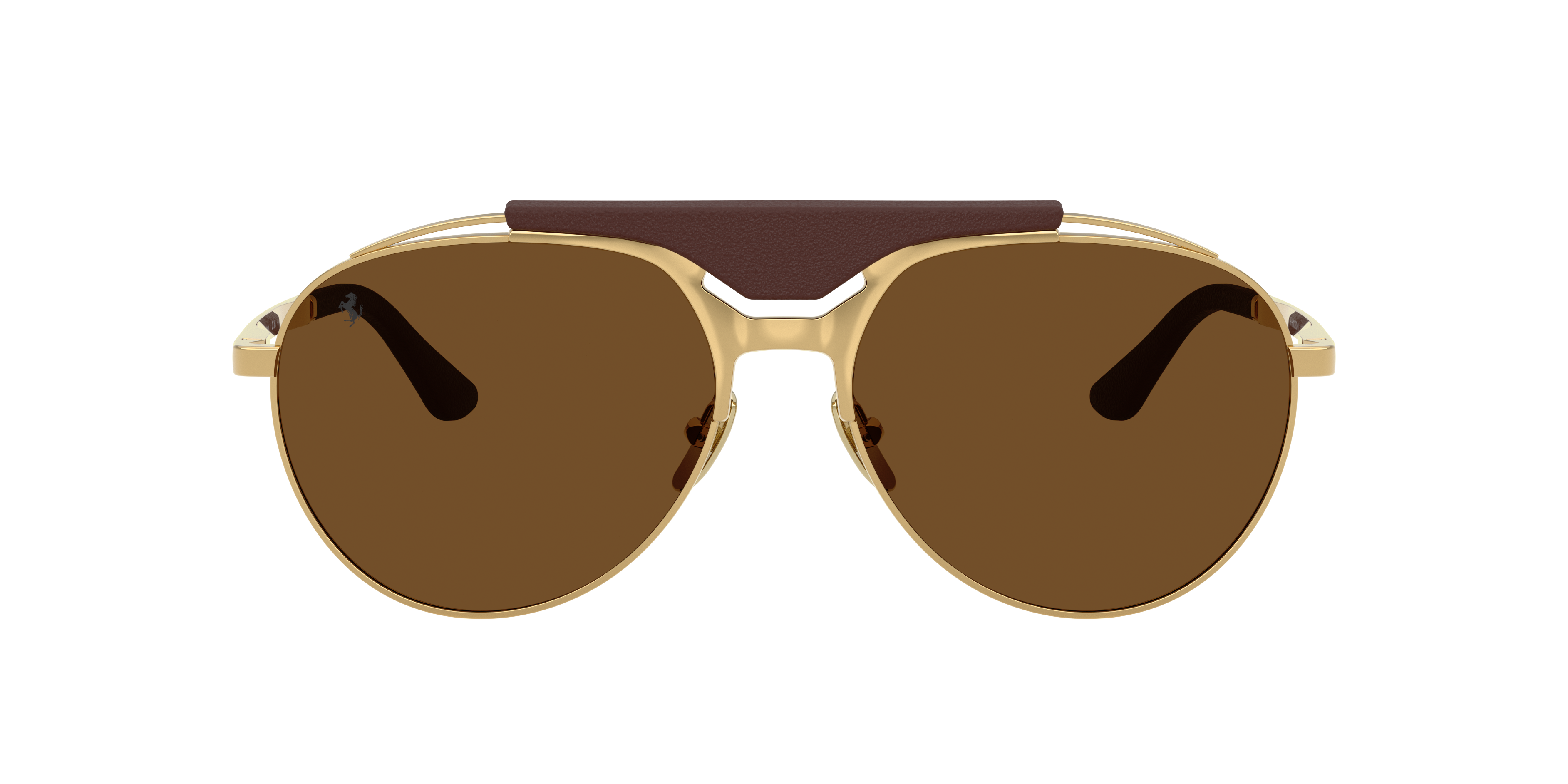 Ferrari Man Sunglass Fh1020q In Brown Polar
