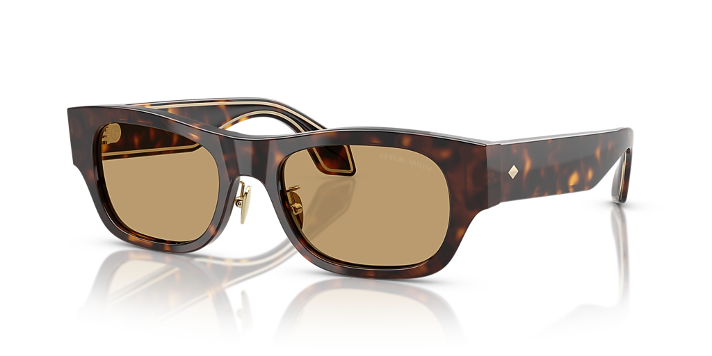 Giorgio Armani AR8224