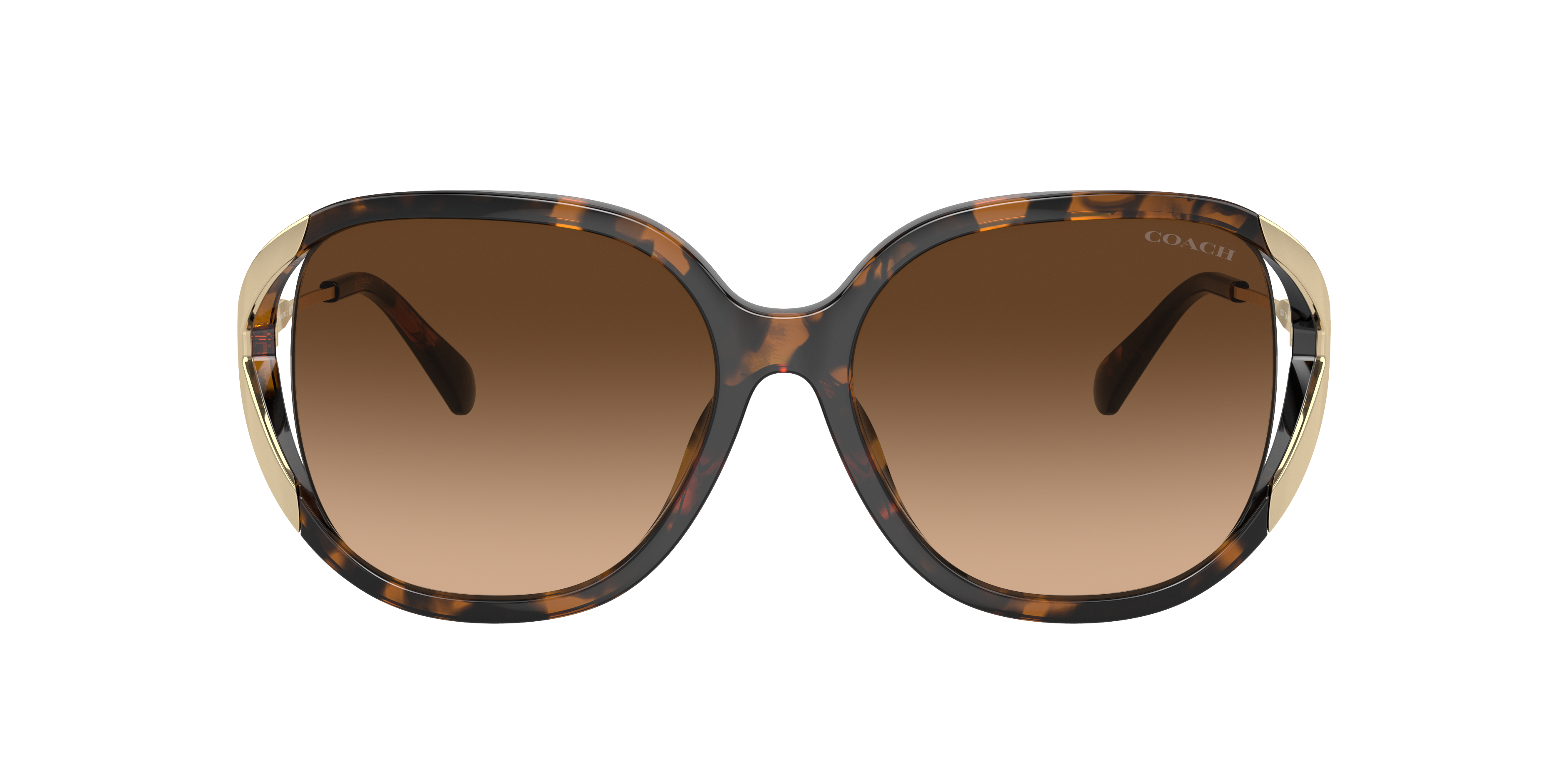 Coach HC8396U CR620 XL (56 - 16) with Brown lenses and Tortoise