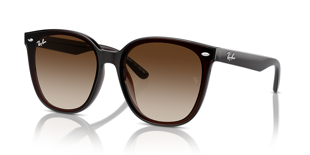 Ray-Ban RB4423D XL (66 - 15) with Brown lenses and Brown frame