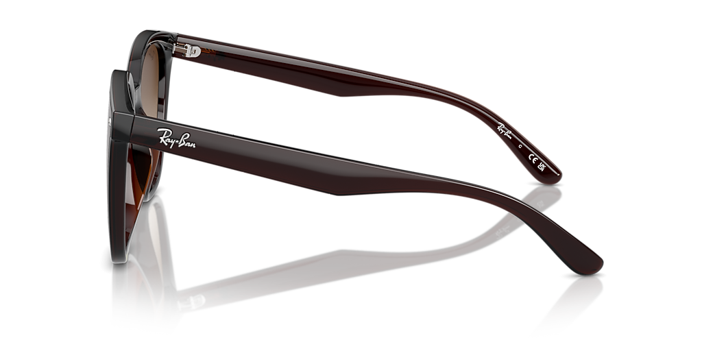 Ray-Ban RB4423D XL (66 - 15) with Brown lenses and Brown frame