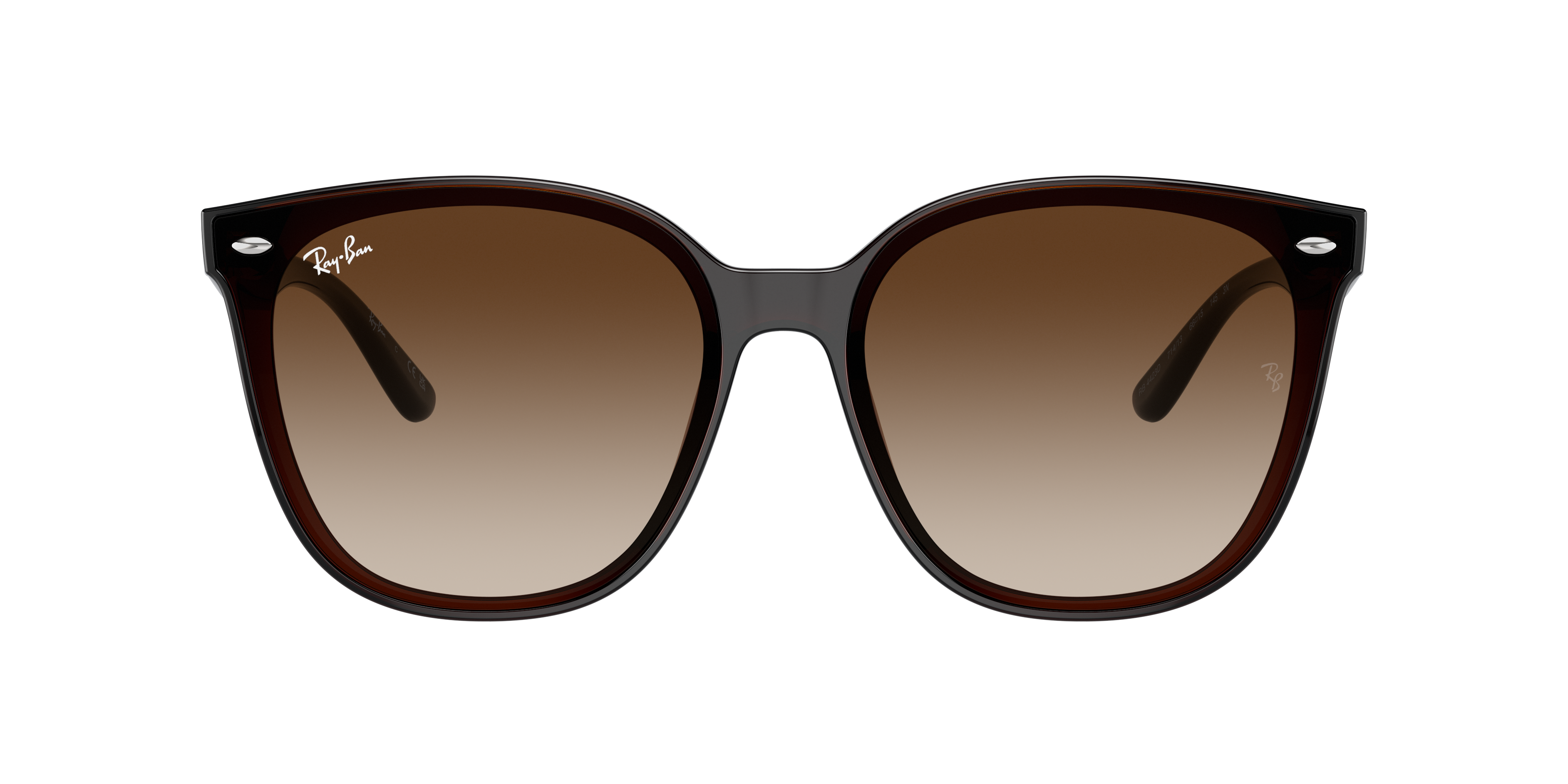 Ray-Ban RB4423D XL (66 - 15) with Brown lenses and Brown frame