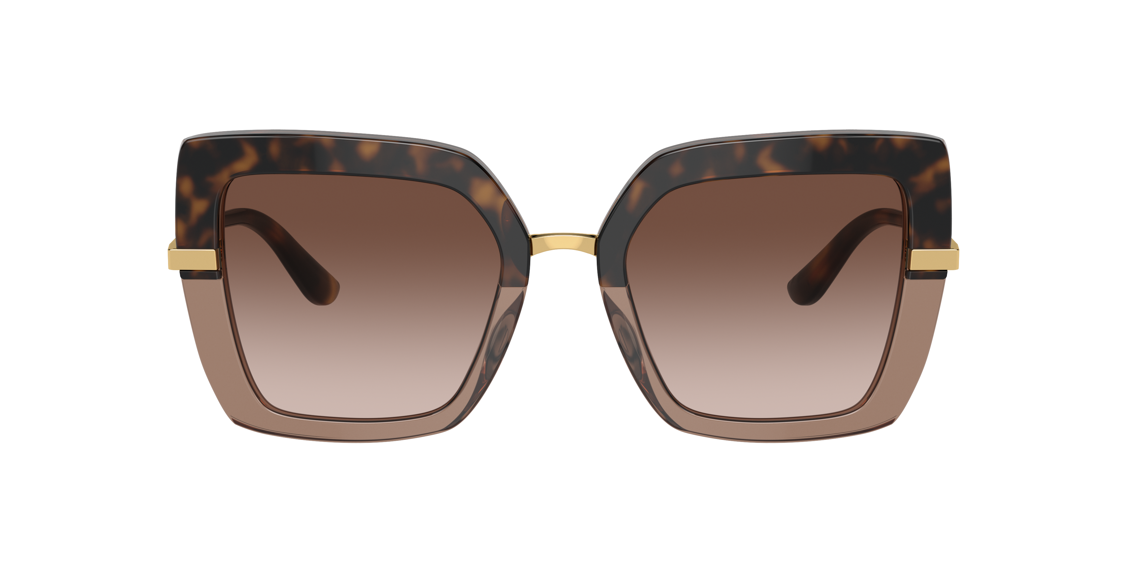 0DG4373__325613__P21__noshad__