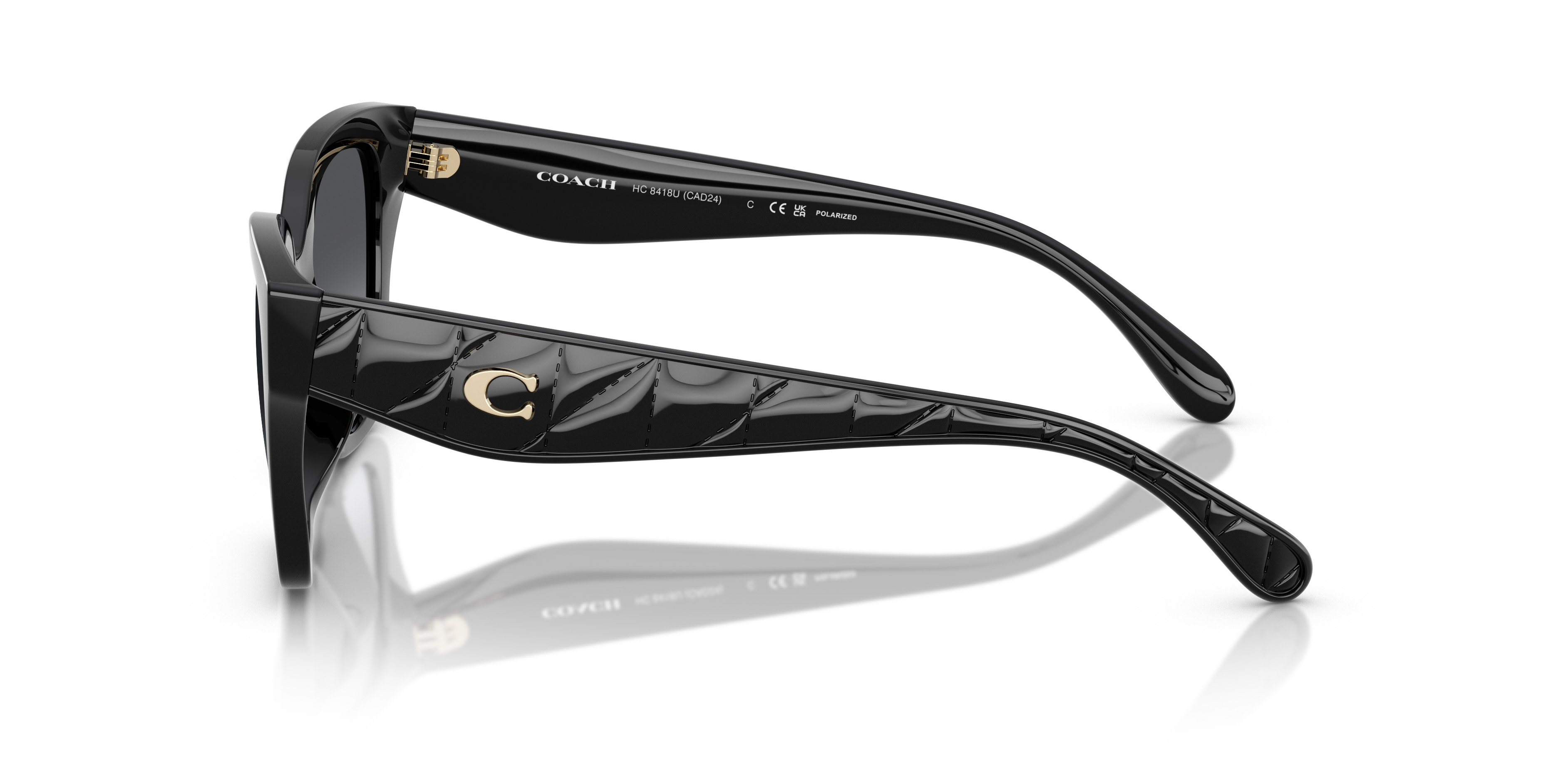 Coach Woman Sunglass Hc8418u Cad18