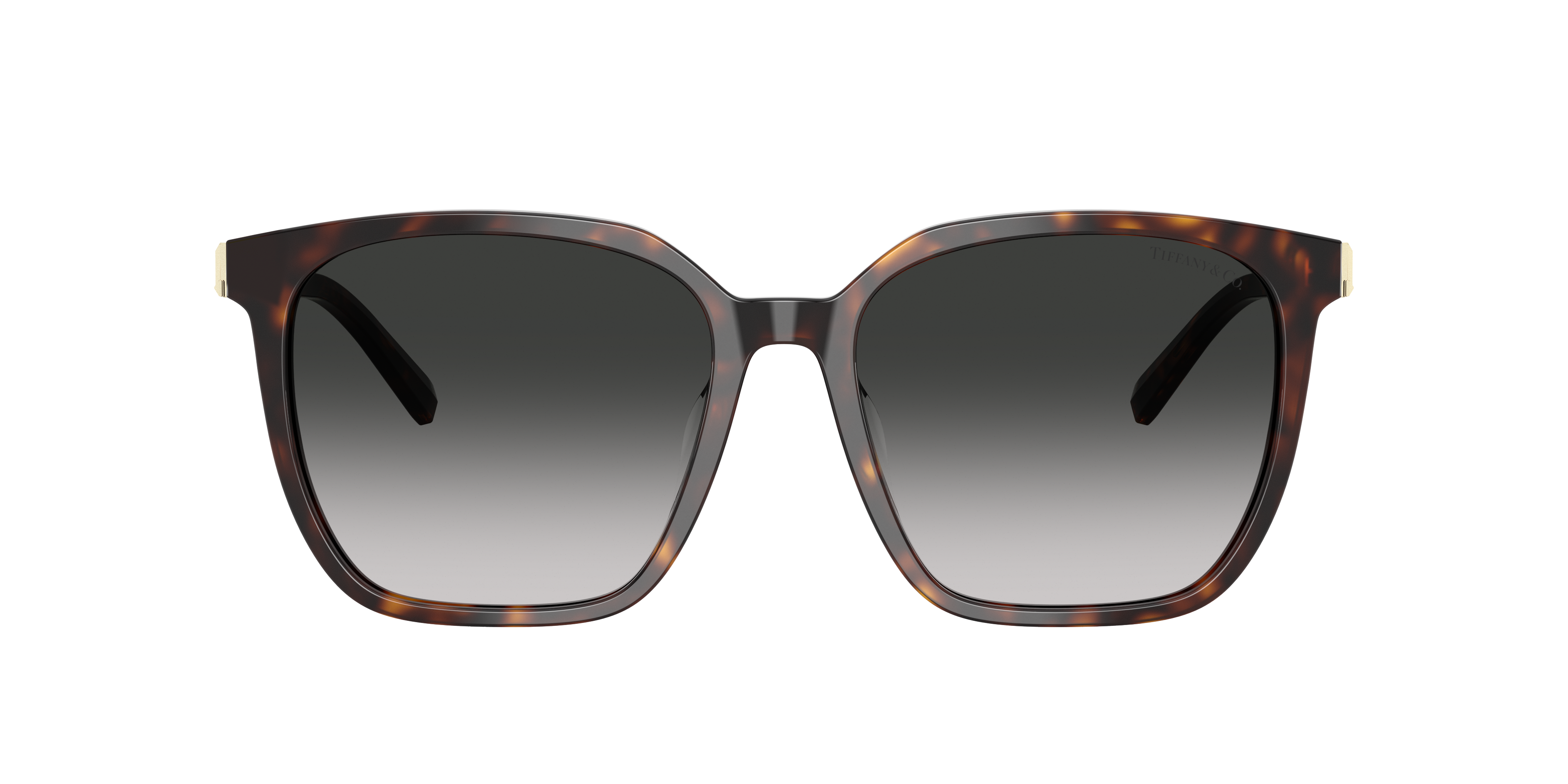 Tiffany & Co. TF4244D XL (56 - 17) with Grey lenses and Tortoise