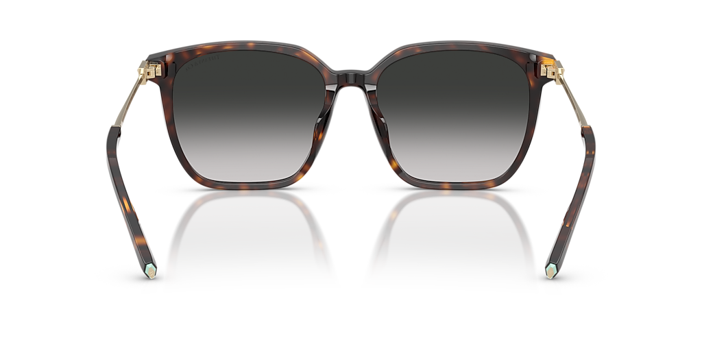 Tiffany & Co. TF4244D XL (56 - 17) with Grey lenses and Tortoise