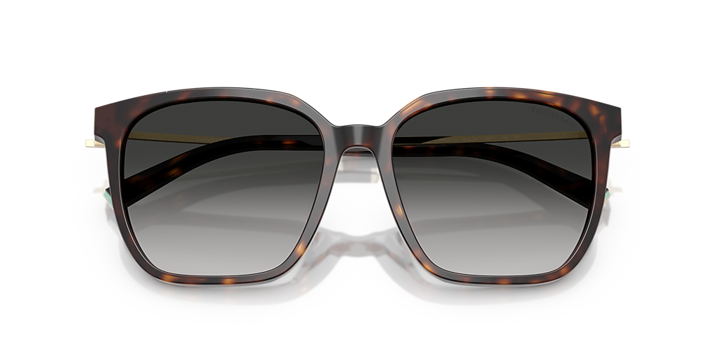 Tiffany & Co. TF4244D XL (56 - 17) with Grey lenses and Tortoise