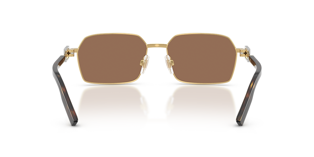 Dolce&Gabbana DG2316 L (56 - 16) with Brown lenses and Gold frame