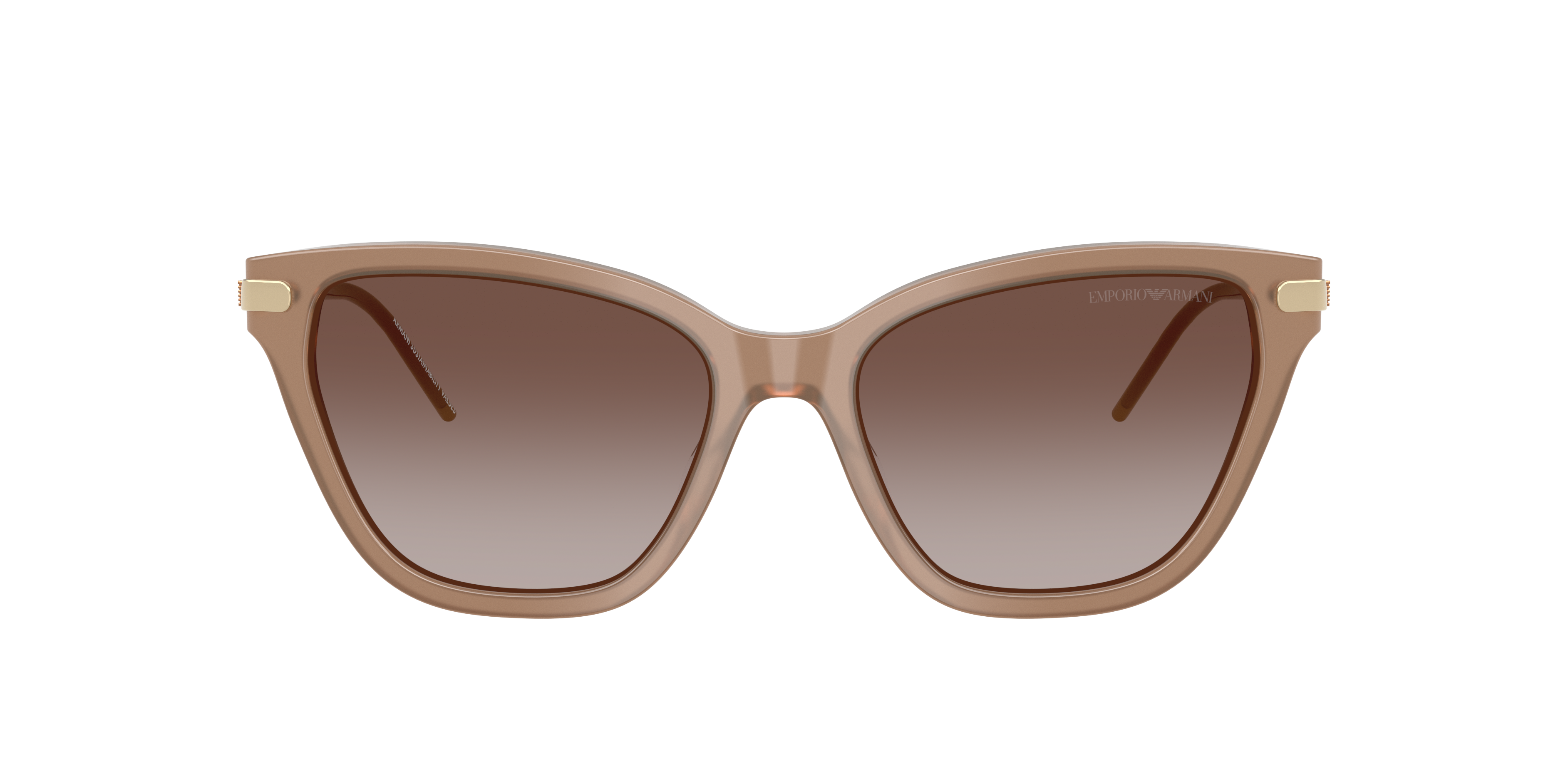Emporio Armani Woman Sunglass Ea4251 In Gradient Brown