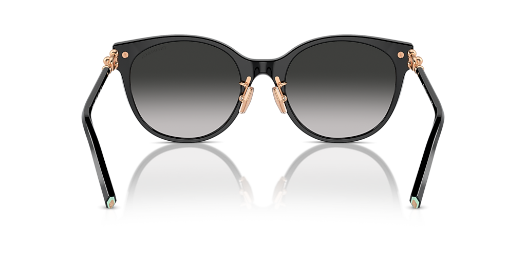 Tiffany & Co. TF4223D XL (54 - 20) with Grey lenses and Black