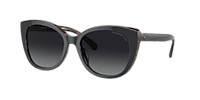 Coach HC8365U CH566 M (55 - 18) with Grey lenses and Black