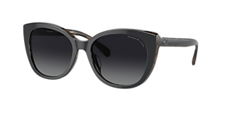 Coach HC8385U CL910 M (54 - 17) with Brown lenses and Tortoise