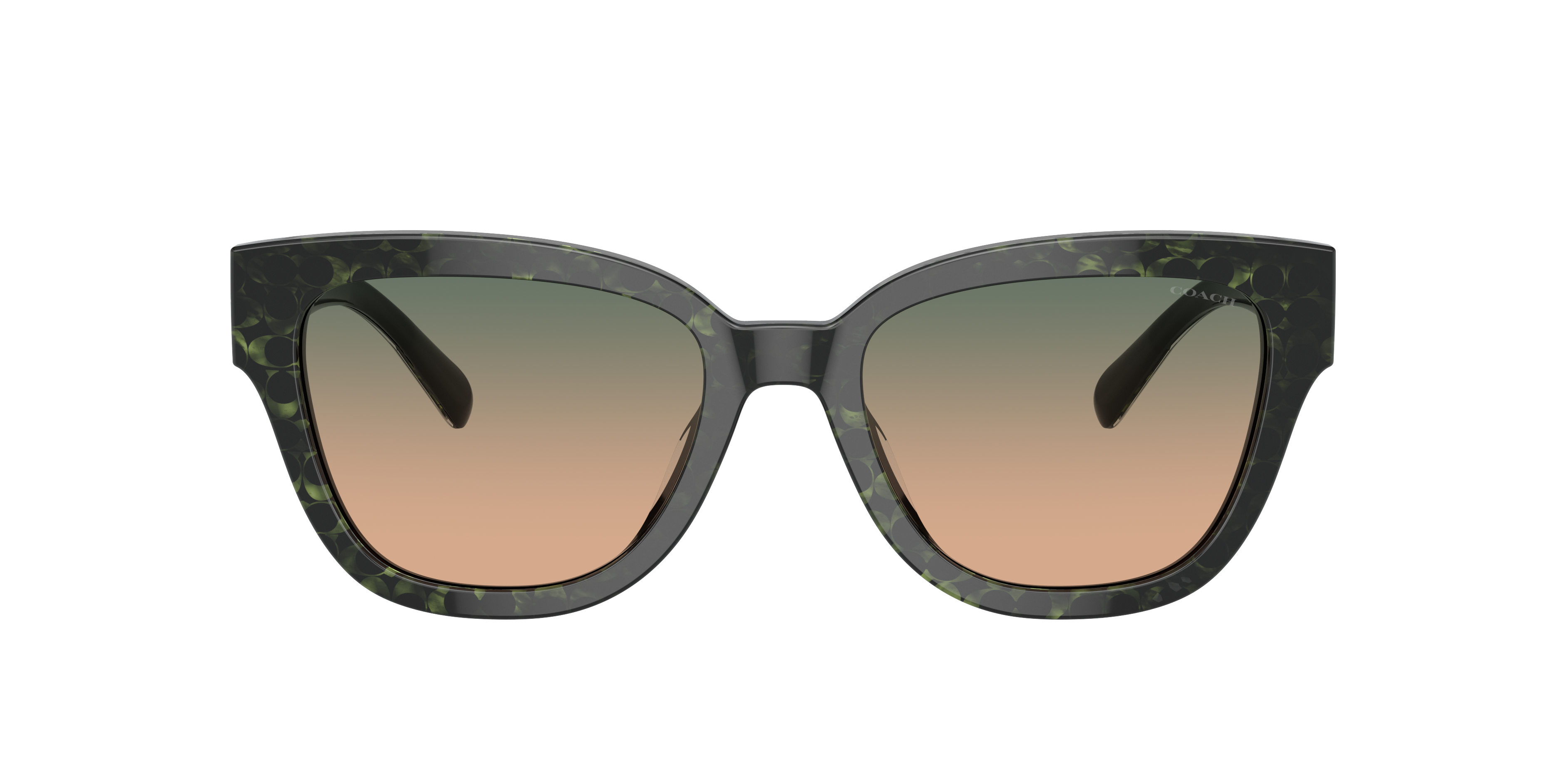 Coach HC8379U CL920 M (54 - 19) with Green lenses and Green