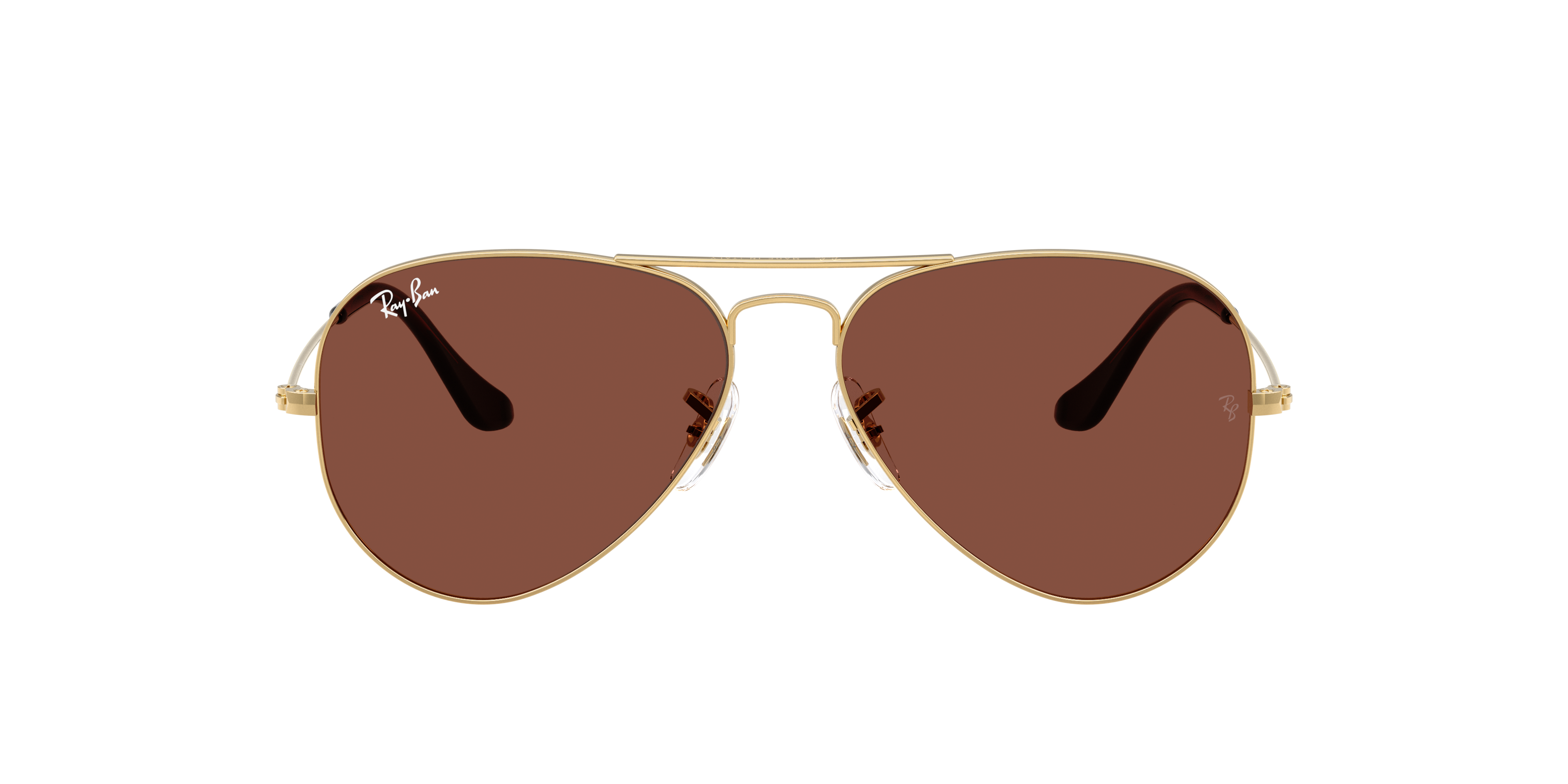 Ray Ban Ray In Brown