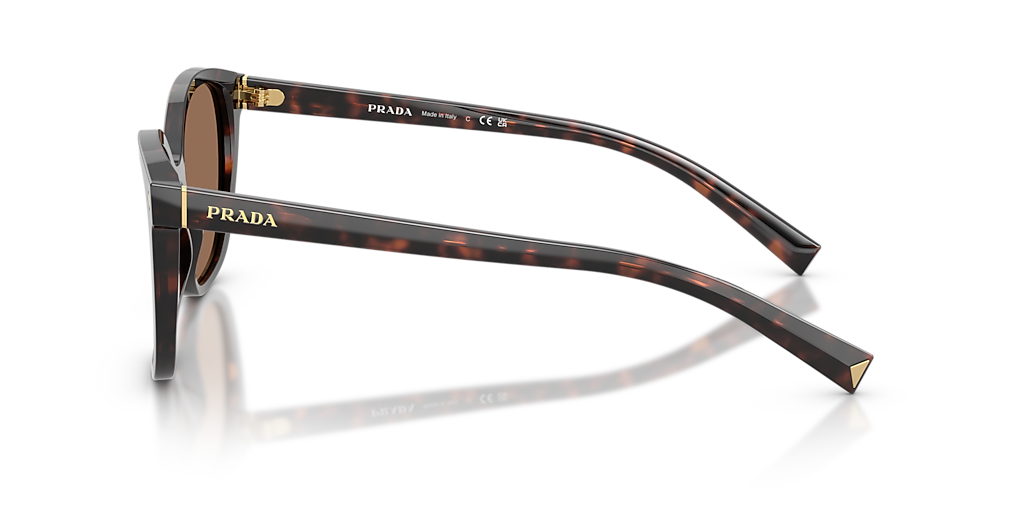 Prada PR 22ZS S (53 - 17) with Brown lenses and Tortoise frame