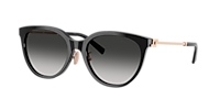 Tiffany & Co. TF4243D XL (55 - 19) with Brown lenses and Brown