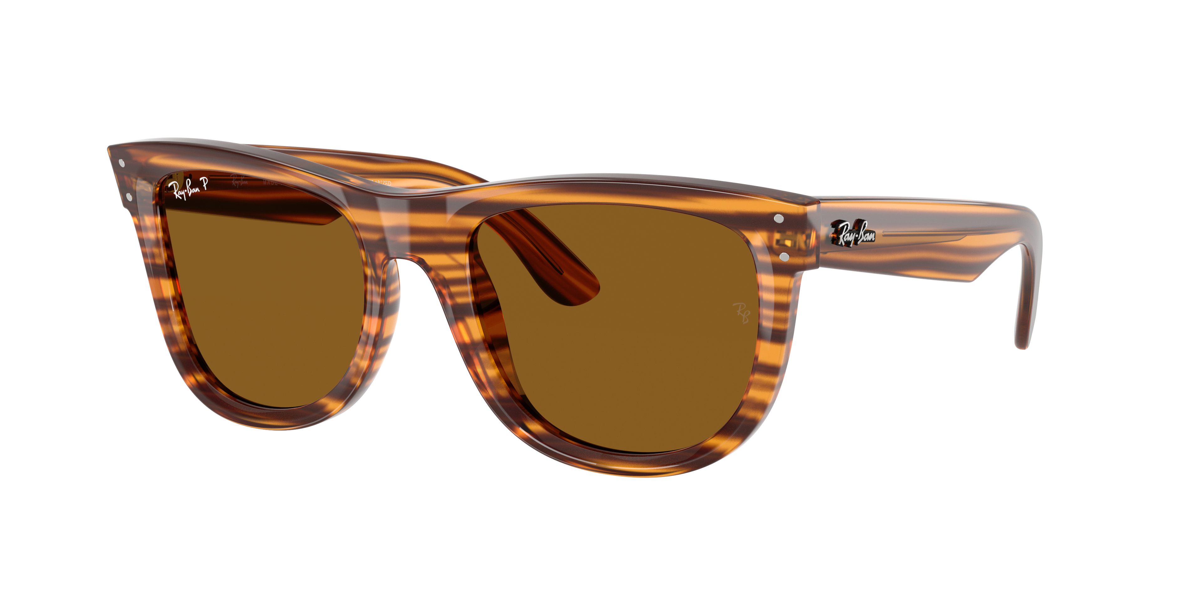 Ray Ban Ray In Polar Dark Brown