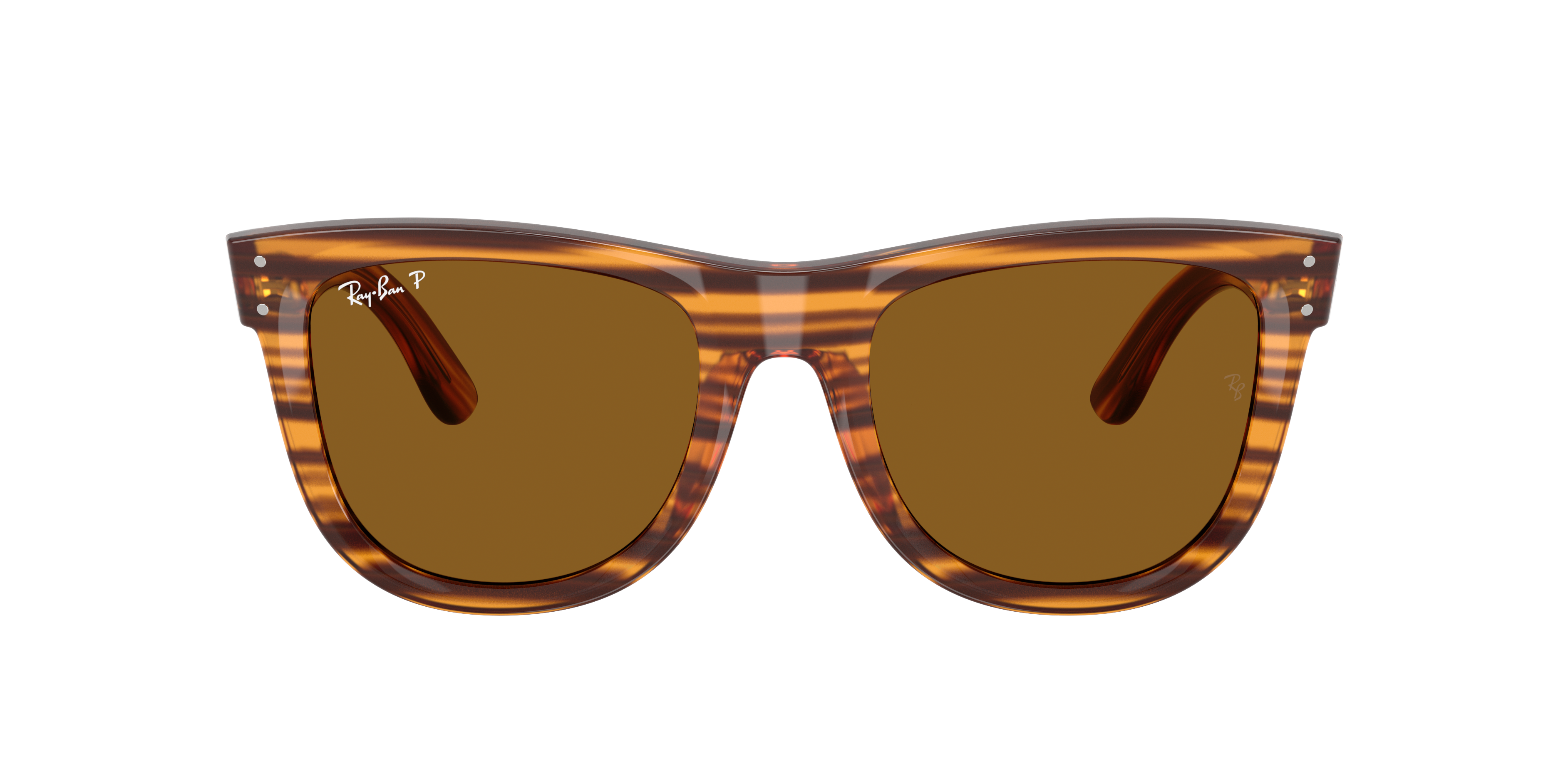 Ray Ban Ray In Polar Dark Brown