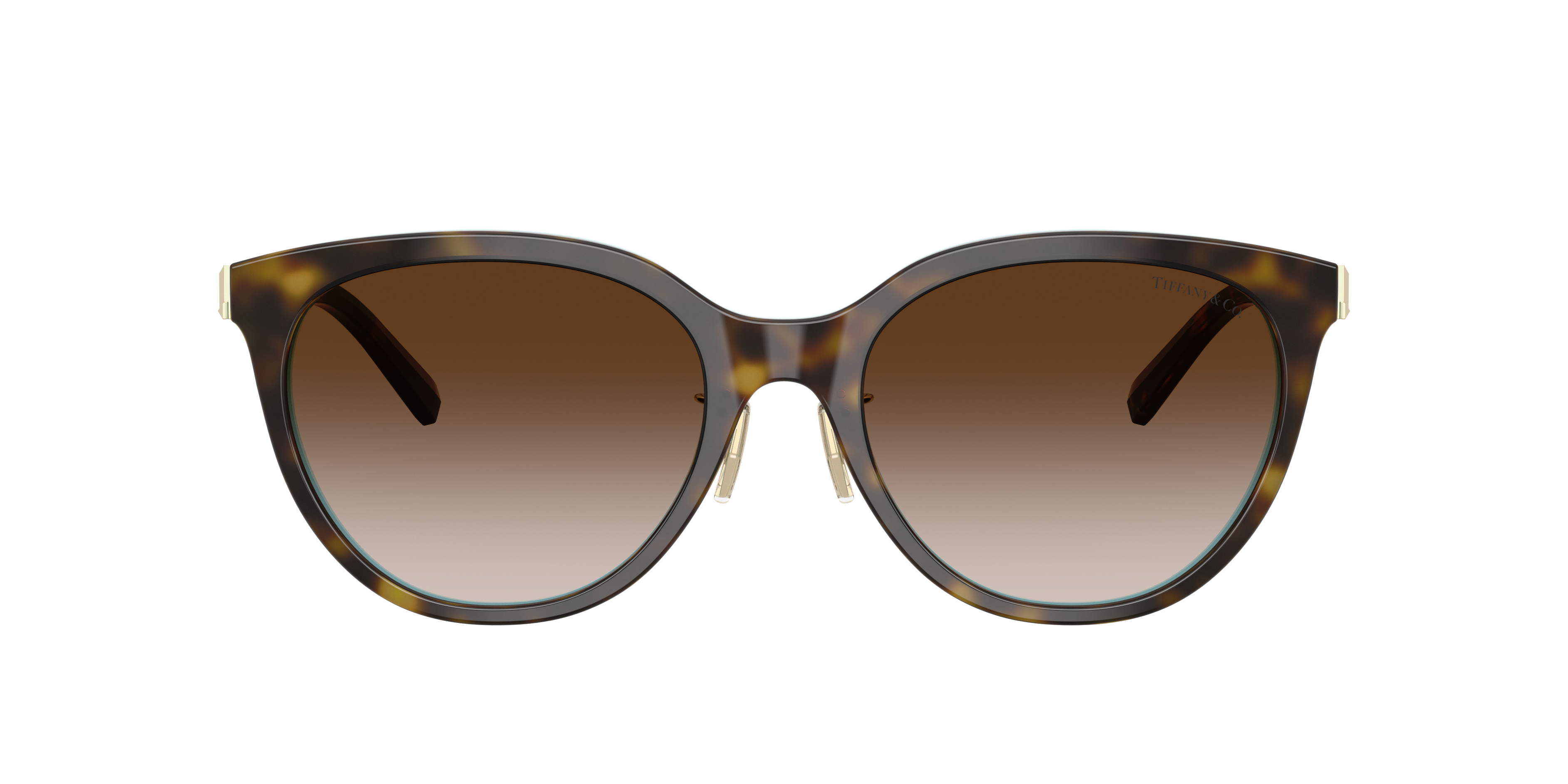 Tiffany & Co.サングラス TF4243-D 81347/3B Tiffany & Co. TF4243D XL (55 - 19) with Brown lenses and Brown