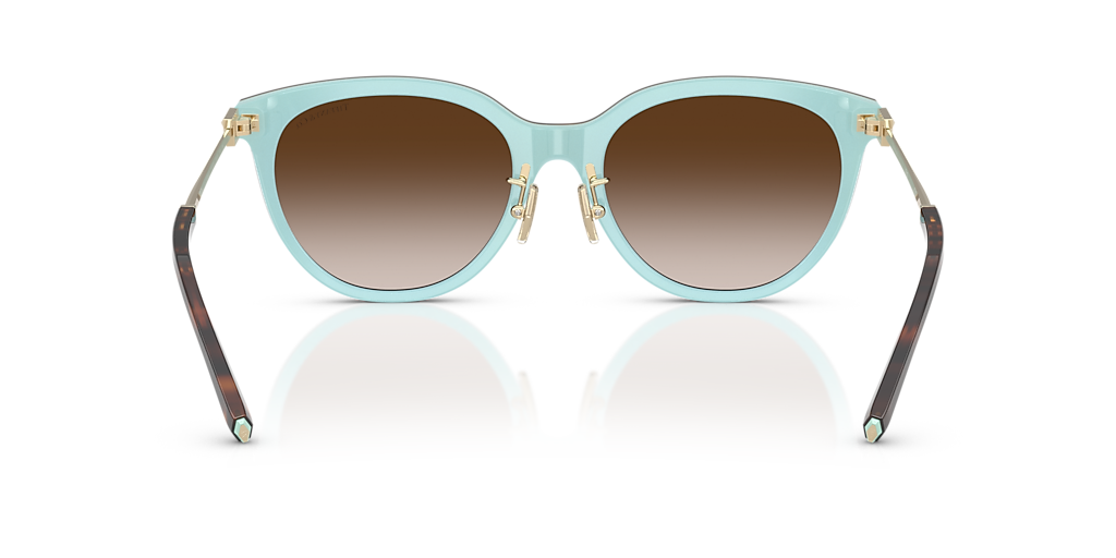 Tiffany & Co. TF4243D XL (55 - 19) with Brown lenses and Brown