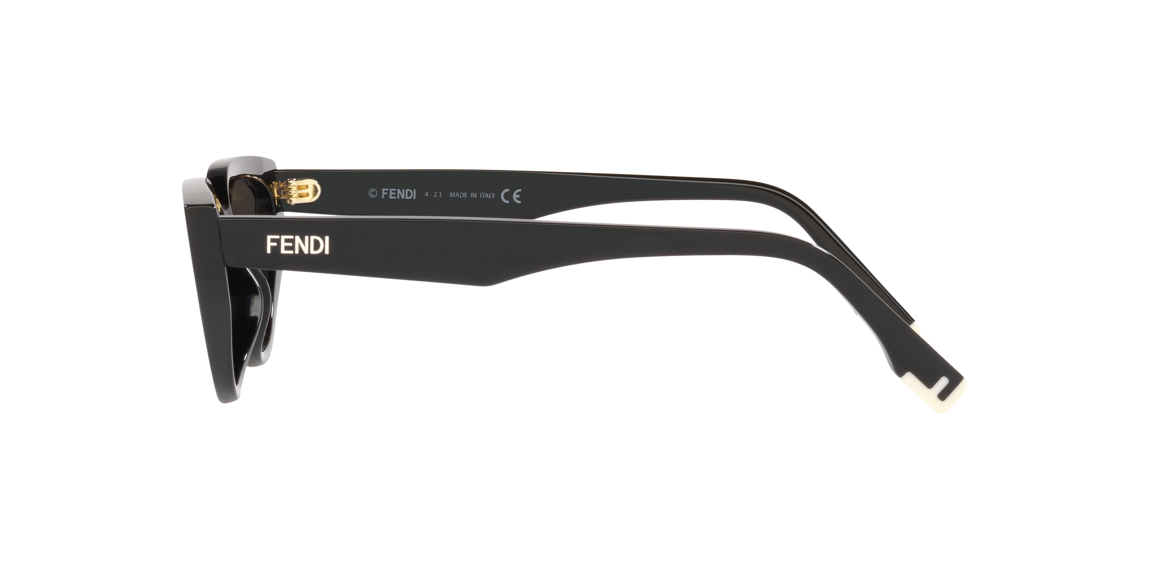 Fendi FE40009I XXS (36 - 16) with Grey lenses and Black