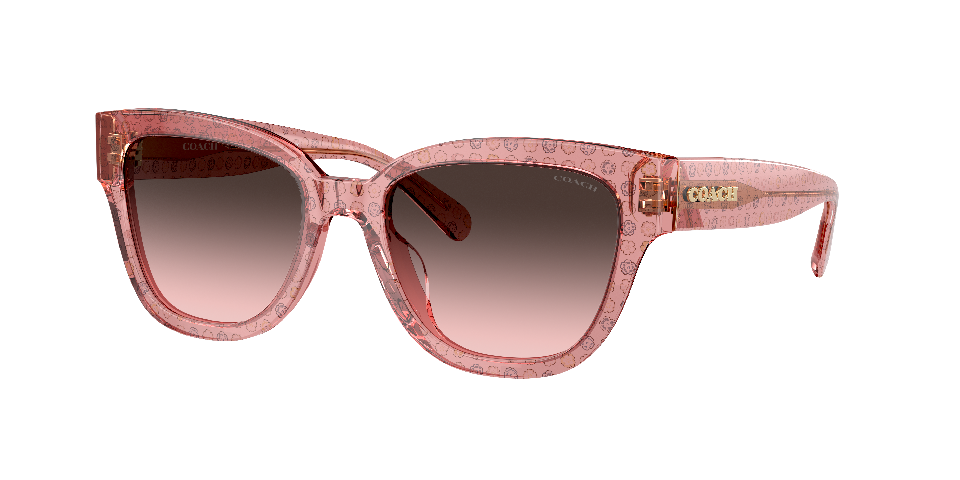 COACH レディース 雑貨 517794 GLD 107 Coach HC8360U CH557 L (57 - 17) with Brown lenses and Brown