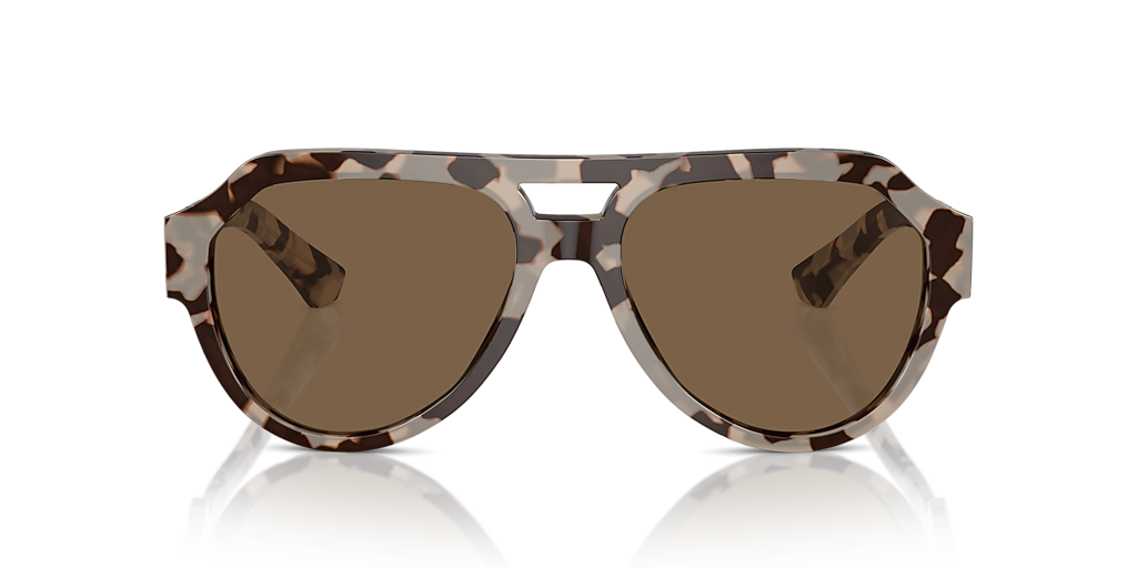Dolce&Gabbana DG4466 L (56 - 17) with Brown lenses and Tortoise