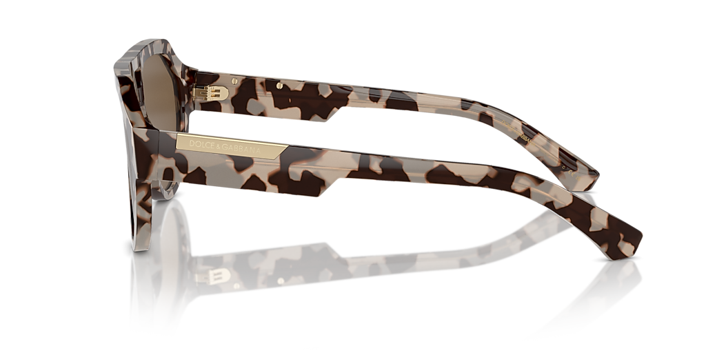 Dolce&Gabbana DG4466 L (56 - 17) with Brown lenses and Tortoise