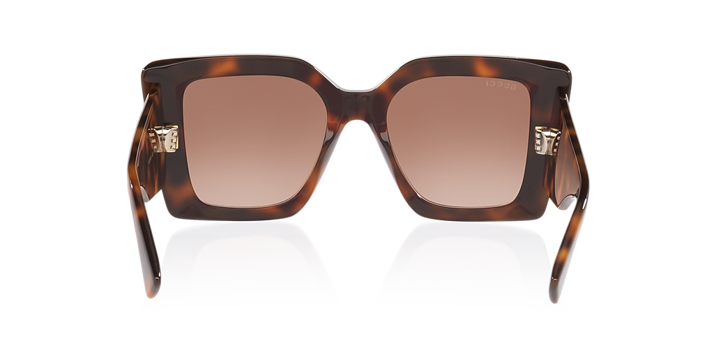 Gucci Gg2039S XS (51 - 19) with Brown lenses and Tortoise frame