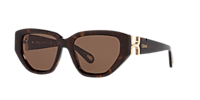 Chloé CH0235S M (55 - 18) with Brown lenses and Black frame