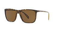 SUNGLASS HUT COLLECTION HU2004 Havana - Men Sunglasses, Dark Brown Lens