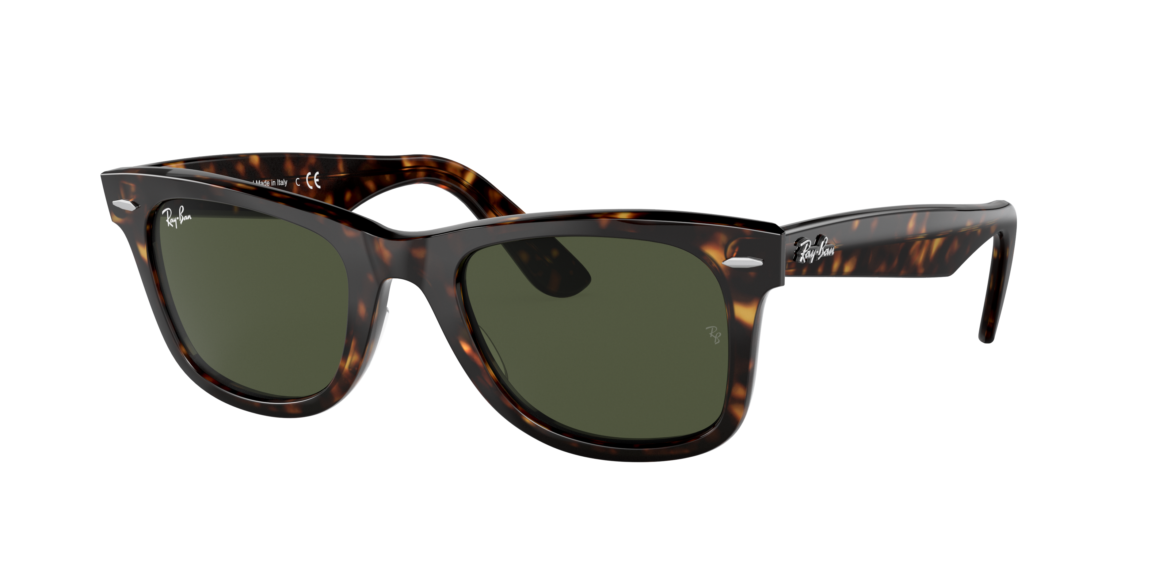 Ray Ban Ray In Brown