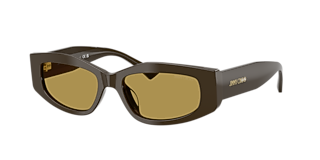 Jimmy Choo JC5022B M (55 - 16) with Brown lenses and Brown frame