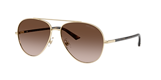 Jimmy Choo JC4008HD XXL (59 - 17) with Brown lenses and Gold frame