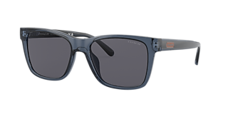 Coach HC8395U CR614 M (54 - 17) with Grey lenses and Black