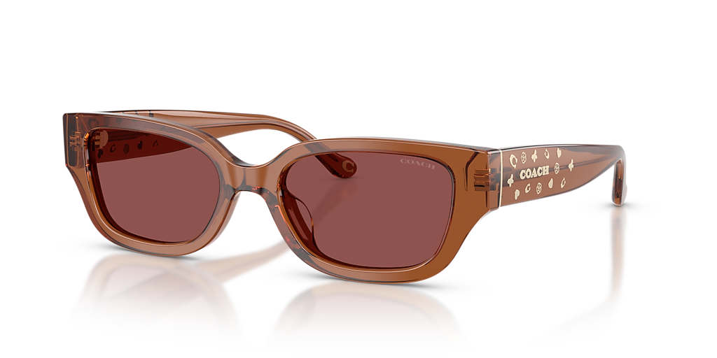 Coach CBZ52 M (53 - 19) with Violet lenses and Brown frame
