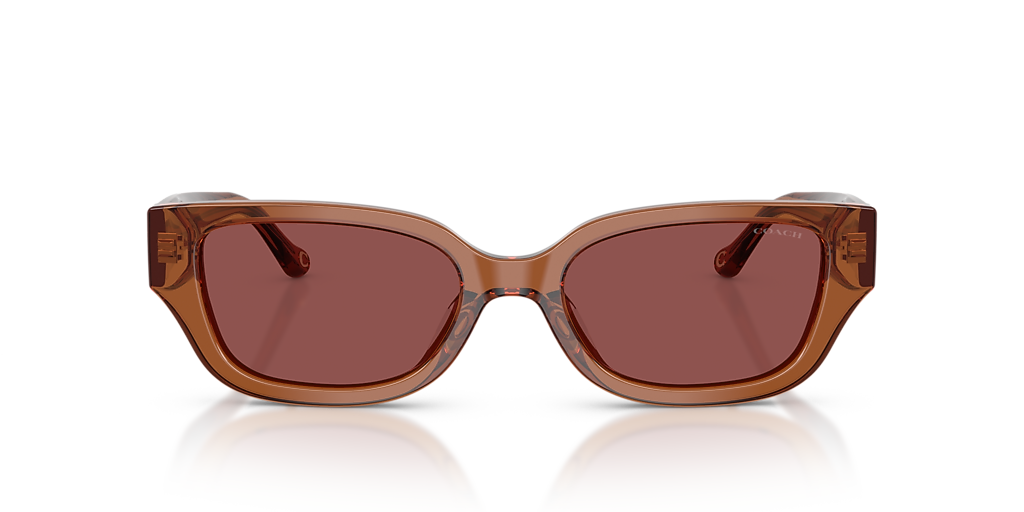 Coach CBZ52 M (53 - 19) with Violet lenses and Brown frame  display picture 3