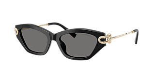 Tiffany & Co. TF4214U XXL (54 - 16) with Blue lenses and