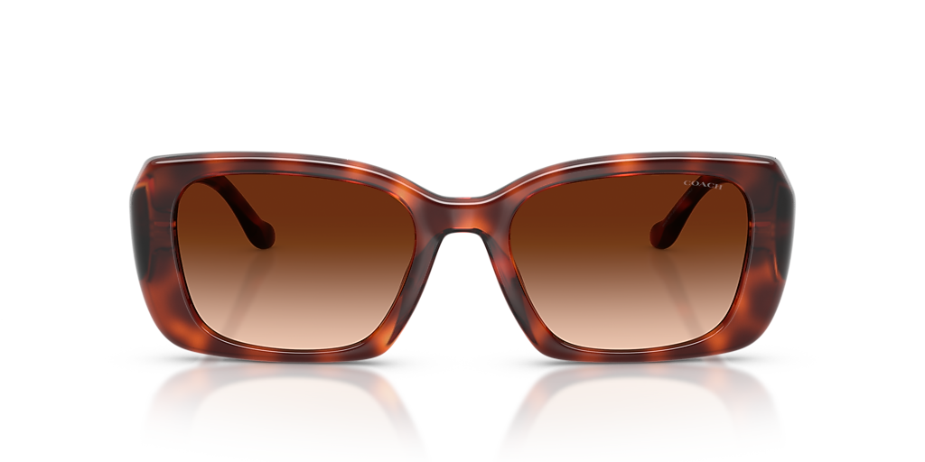 NWT Coach HC8237-551987-57 57mm Tortoise Sunglasses Coach CBY82 M (54 - 19) with Brown lenses and Tortoise frame  main image 3
