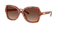 Coach HC8295 L1147 L (56 - 21) with Red lenses and Grey