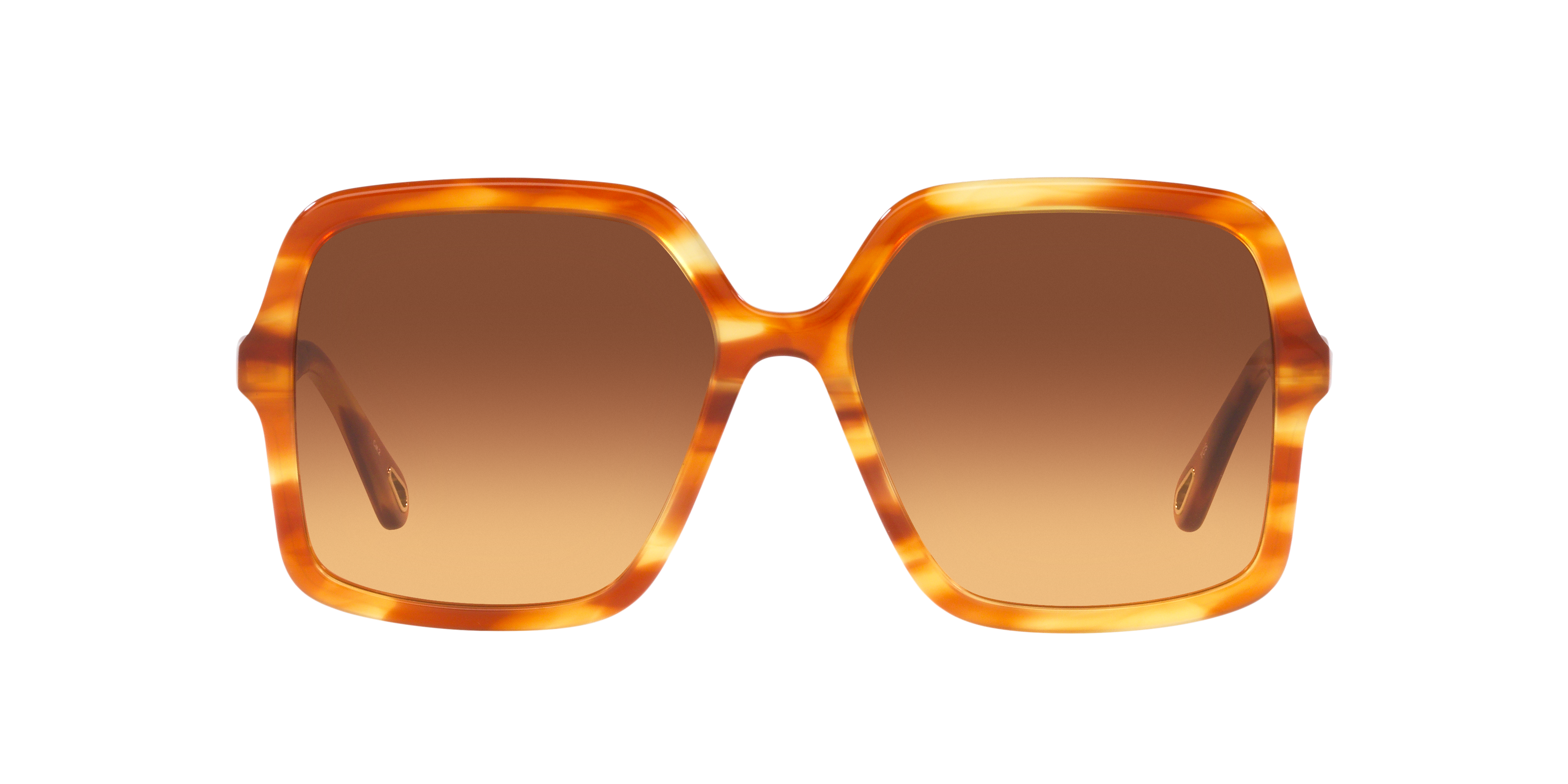 ● CHLOE ● サングラス Square Yellow Havana / Brown / 59mm Chloé CH0086S XXS (58 - 17) with Brown lenses and Brown