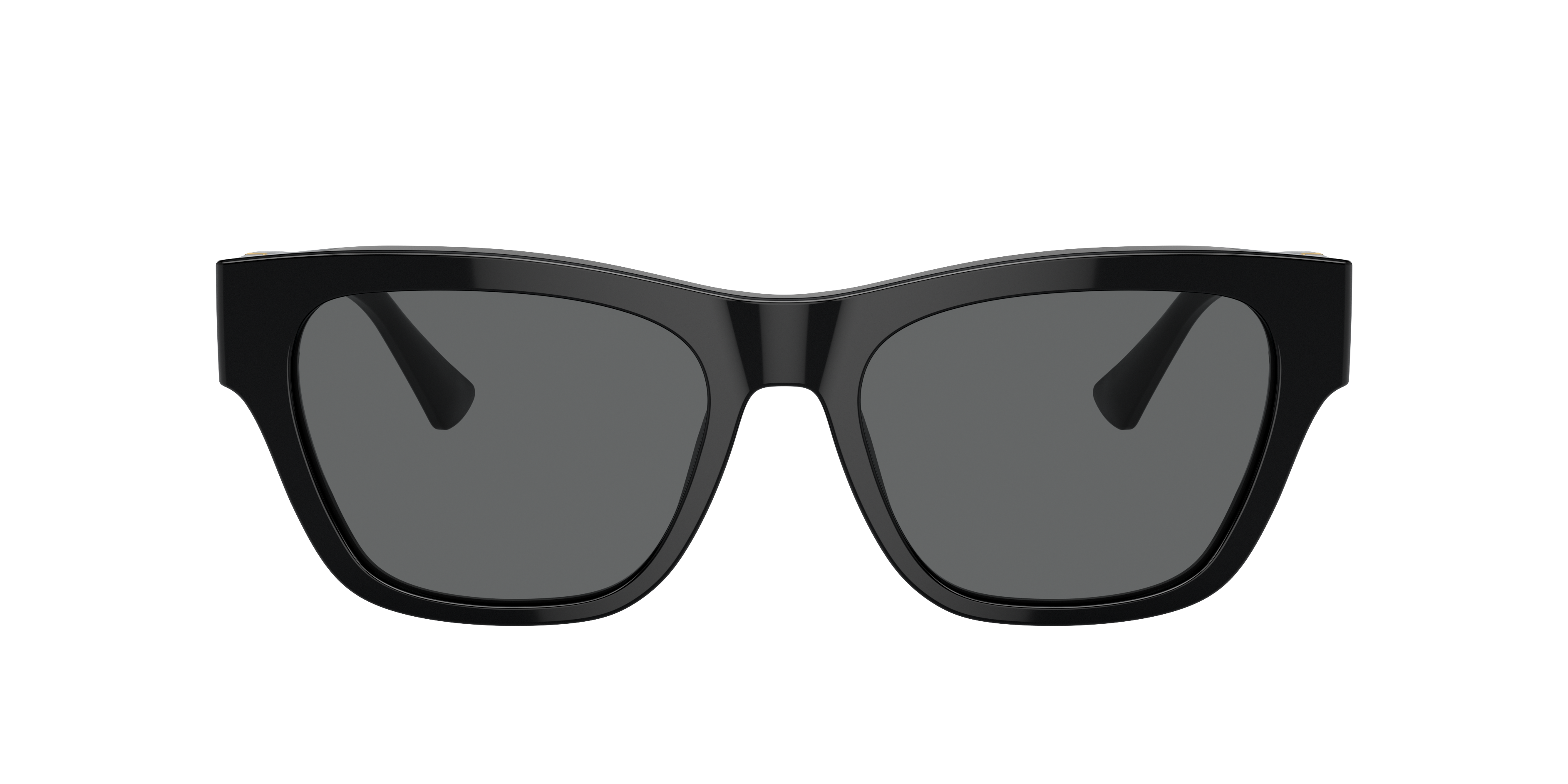 Versace Man Sunglass Ve4457f