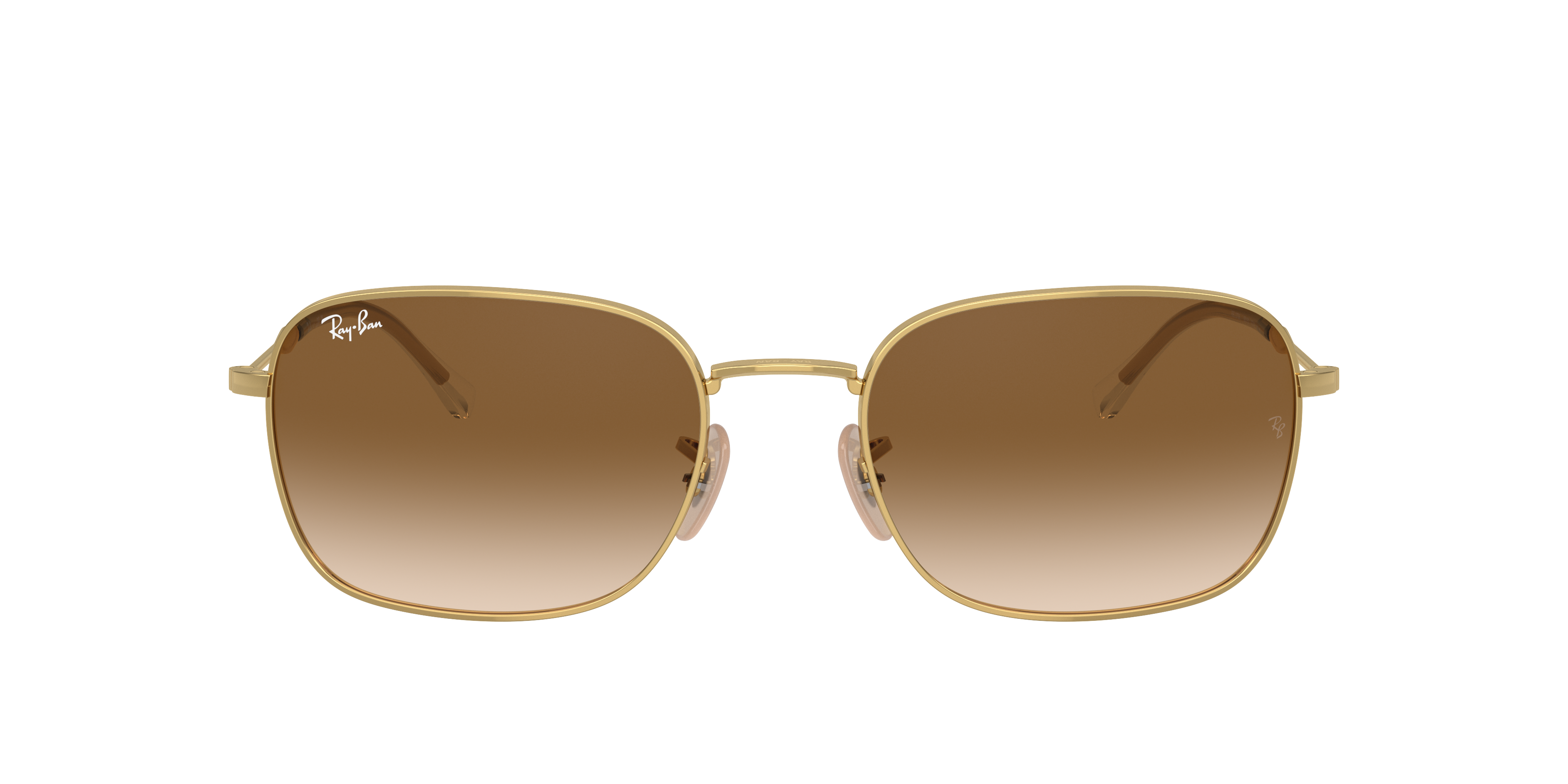 Ray Ban Ray In Brown
