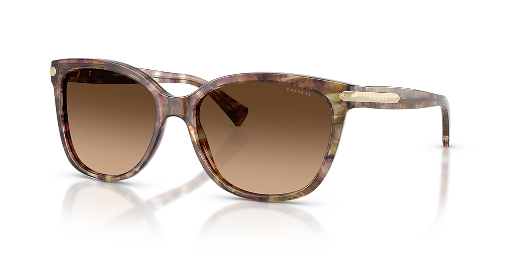 Coach HC8132 L109 L (57 - 17) with Brown lenses and Tortoise