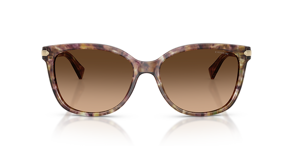 COACH HC8132 L109 Black Tortoise Gradient - Women Luxury Sunglasses, Brown Gradient Polarized Lens