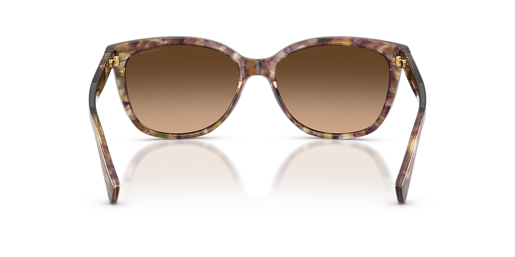 COACH HC8132 L109 Black Tortoise Gradient - Women Luxury Sunglasses, Brown Gradient Polarized Lens