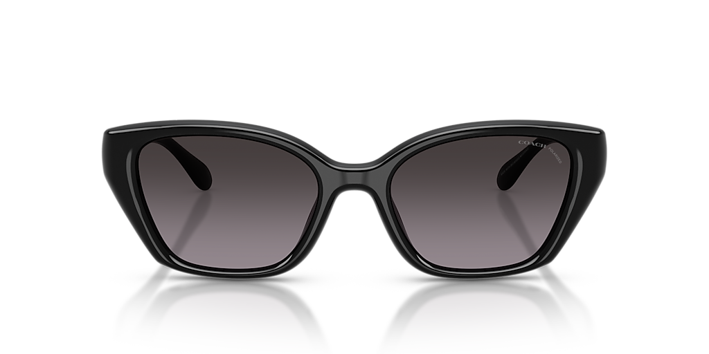 COACH サングラス Coach HC8413BD CW419 XL (58 - 16) with Grey lenses and Black frame
